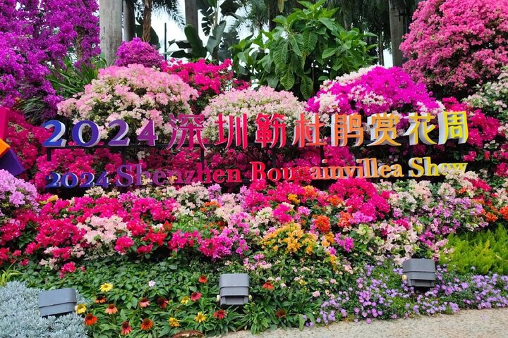 Private Shenzhen Day Trip from Guangzhou by Train or Private Car