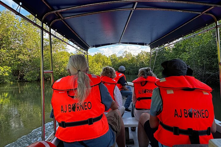 Kuching Mangrove: Irrawaddy Dolphin, Proboscis Monkey & Fireflies