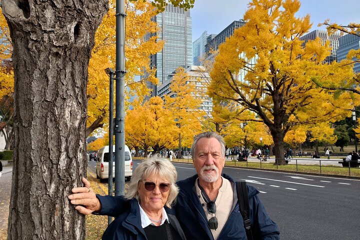 Best of Tokyo Private Tour from Yokohama & Tokyo Ports or Hotels