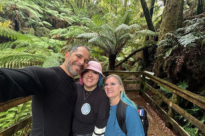 Great Ocean Road Reverse SUNRISE TOUR–SML GRP-DLX BUS Hotel Pikup
