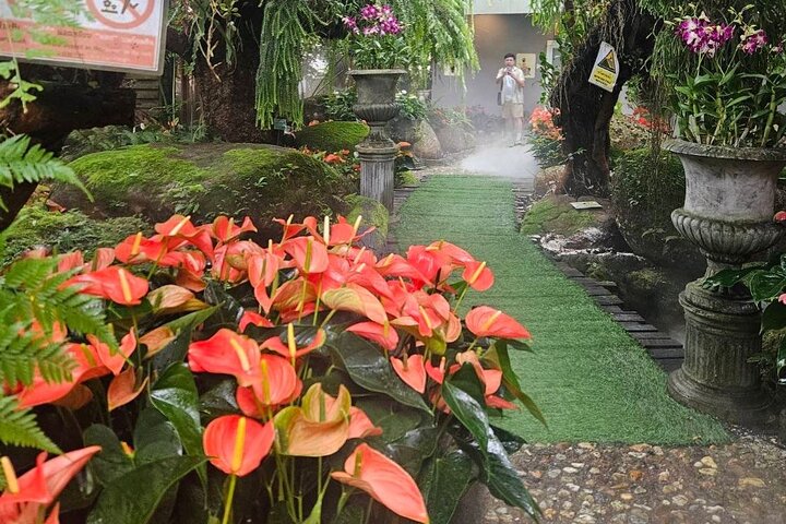 Half Day Join Tour Chiang Rai Pick Up Only In Chiang Rai