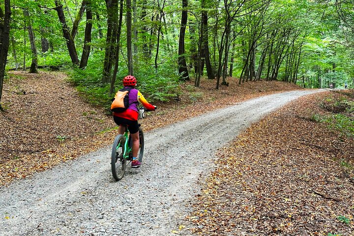 Maramures Crafts and Cycling Holiday 6 Day Cultural Bike Tour