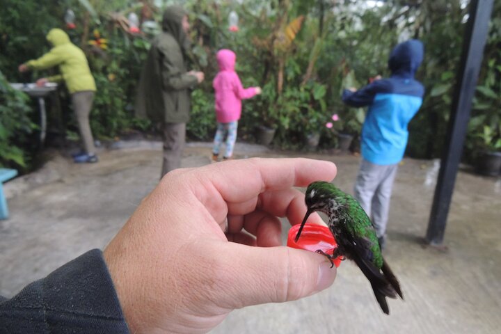 Mindo Cloud Forest Private Day Tour