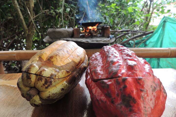 Mindo Cloud Forest Private Day Tour