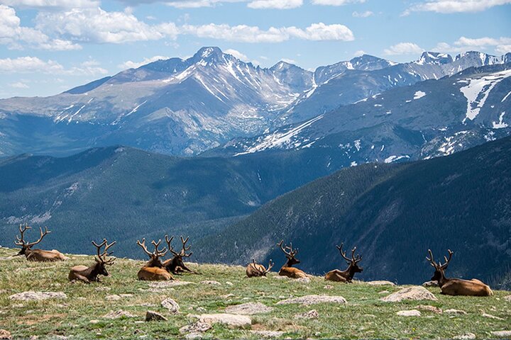 Discover Rocky Mountain National Park-Small Group Tour & Picnic