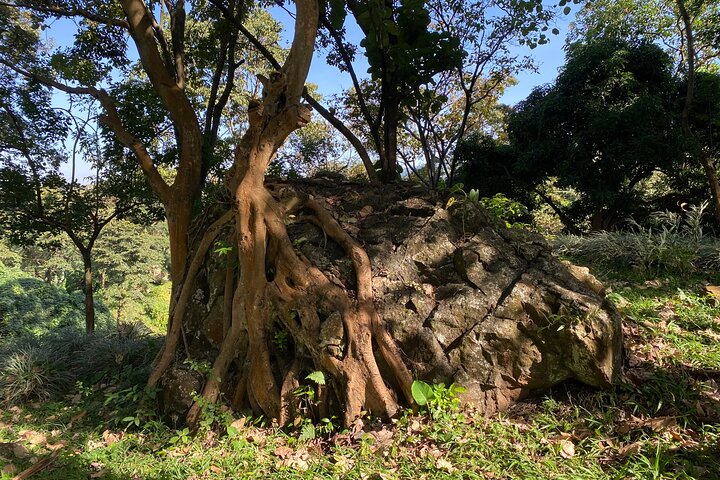 Sisiyi Falls Round Walk Hike Scenic Adventure