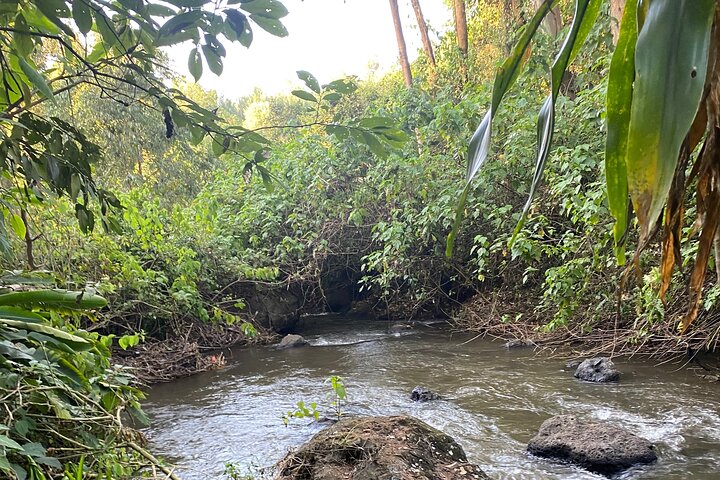 Sipi Falls and Sisiyi Falls Walking Tour
