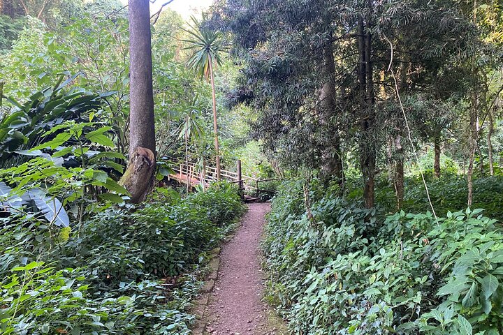 Sipi Falls and Sisiyi Falls Walking Tour