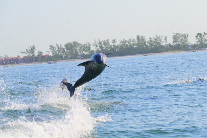 Parasailing Adventure In Bradenton Beach & Anna Maria Island, FL