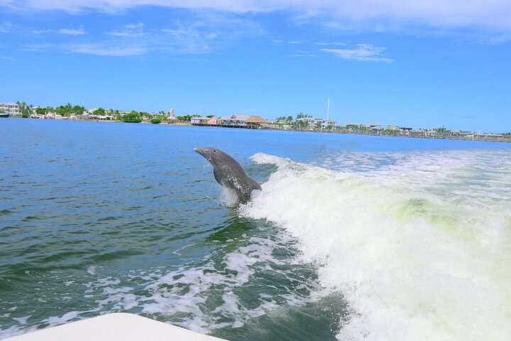 Parasailing Adventure In Bradenton Beach & Anna Maria Island, FL