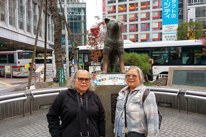 Best of Tokyo Private Tour from Yokohama & Tokyo Ports or Hotels