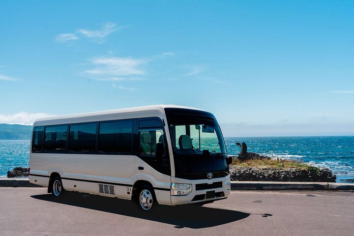 Niseko and New Chitose Airport: Private One-Way Bus Transfer