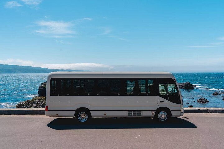 Niseko and New Chitose Airport: Private One-Way Bus Transfer