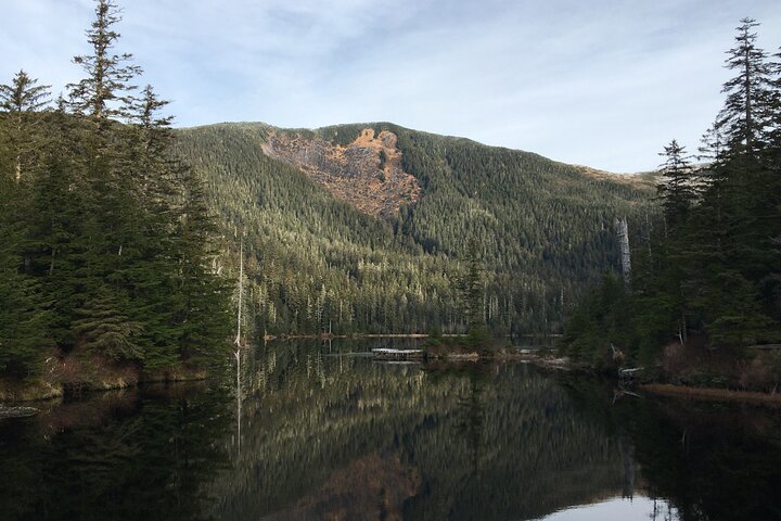 Ketchikan Rainforest Adventure Nature & Wildlife Tour