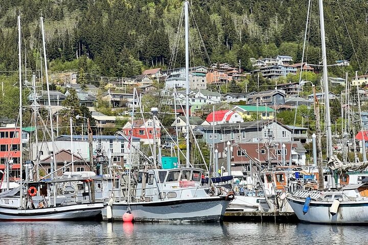 Ketchikan Rainforest Adventure Nature & Wildlife Tour