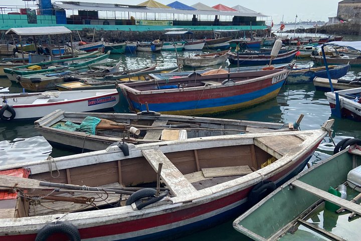 Salvador African Heritage Private City Tour Including Afro Museum