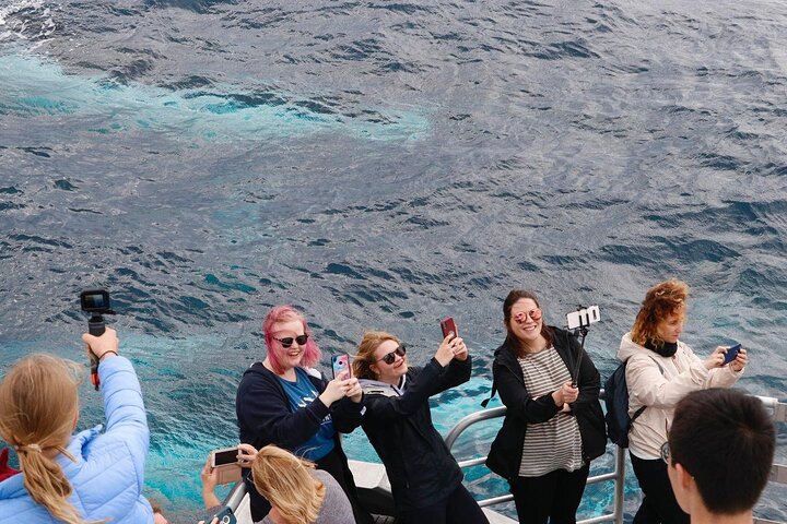 Augusta Whale Watching Tour