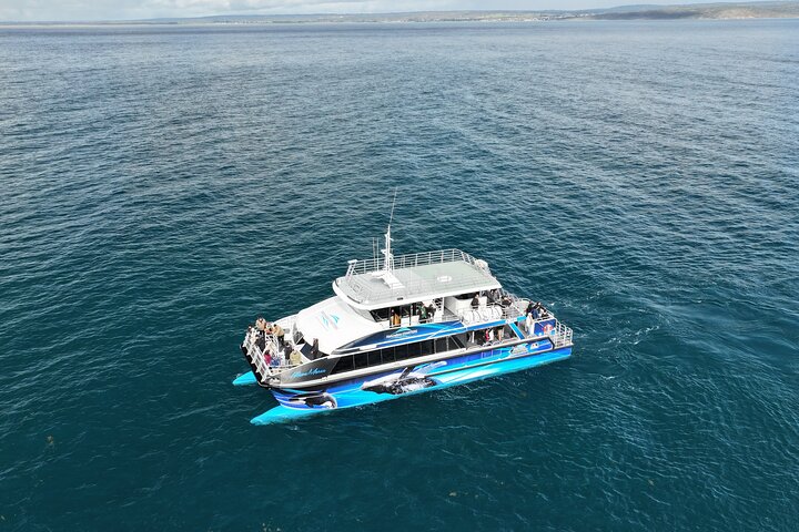 Dunsborough Whale Watching Tour