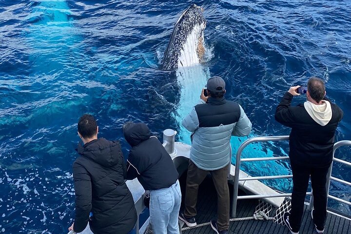 Dunsborough Whale Watching Tour