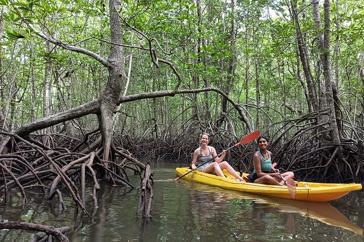 Koh Yao Yai Mangrove Forest Kayaking and Local Village with Lunch