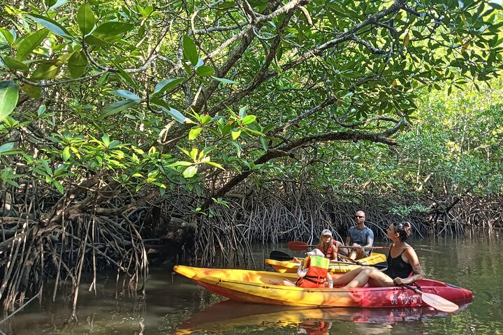 Koh Yao Yai Mangrove Forest Kayaking and Local Village with Lunch