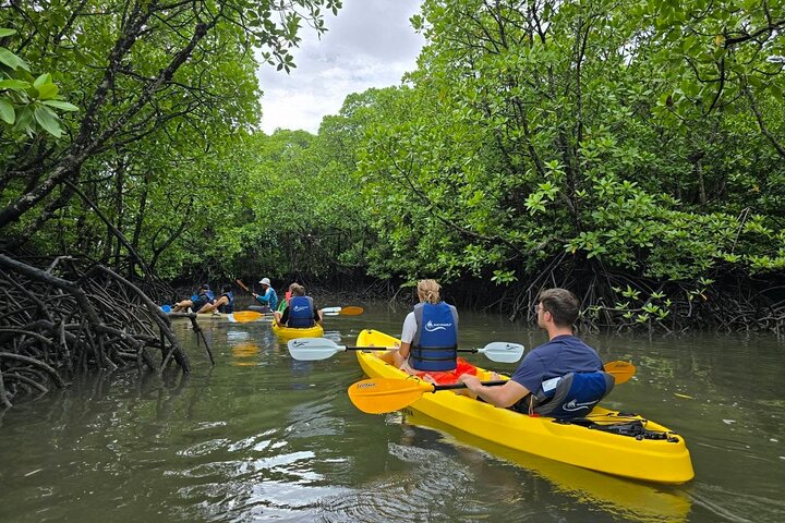 Koh Yao Yai Mangrove Forest Kayaking and Local Village with Lunch