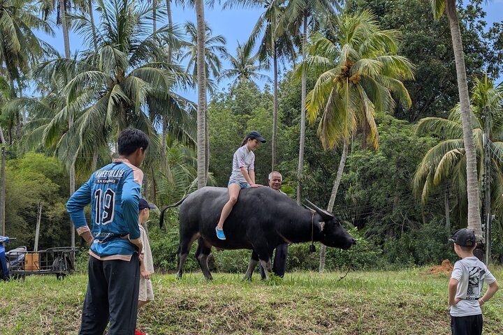 Koh Yao Yai Mangrove Forest Kayaking and Local Village with Lunch