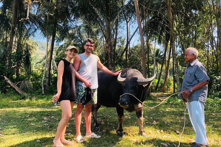 Koh Yao Yai Mangrove Forest Kayaking and Local Village with Lunch