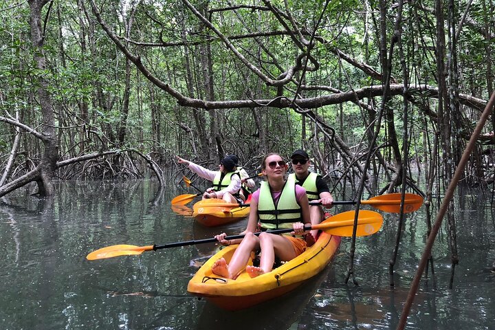 Koh Yao Yai Mangrove Forest Kayaking and Local Village with Lunch