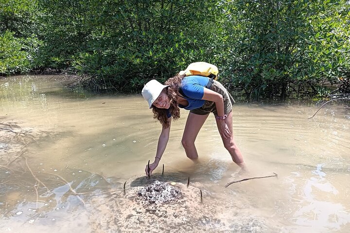 Koh Yao Yai Mangrove Forest Kayaking and Local Village with Lunch