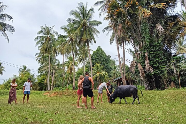 Koh Yao Yai Mangrove Forest Kayaking and Local Village with Lunch