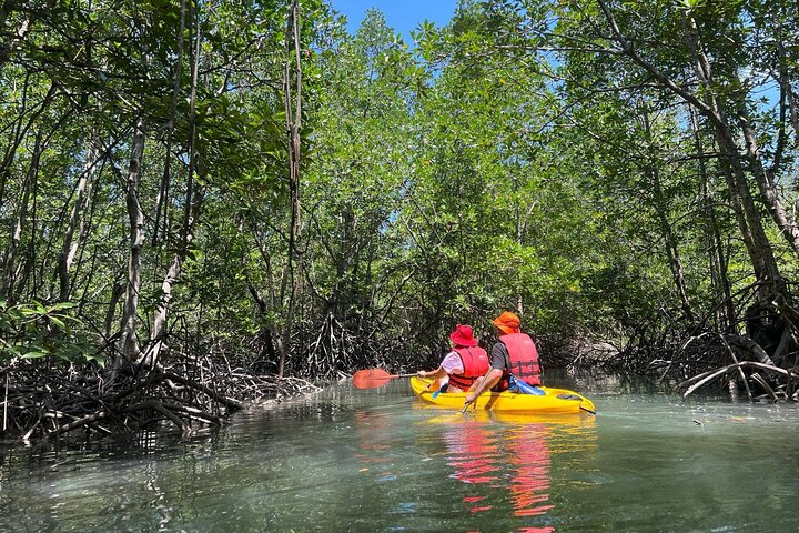 Koh Yao Yai Mangrove Forest Kayaking and Local Village with Lunch