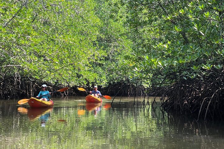 Koh Yao Yai Mangrove Forest Kayaking and Local Village with Lunch