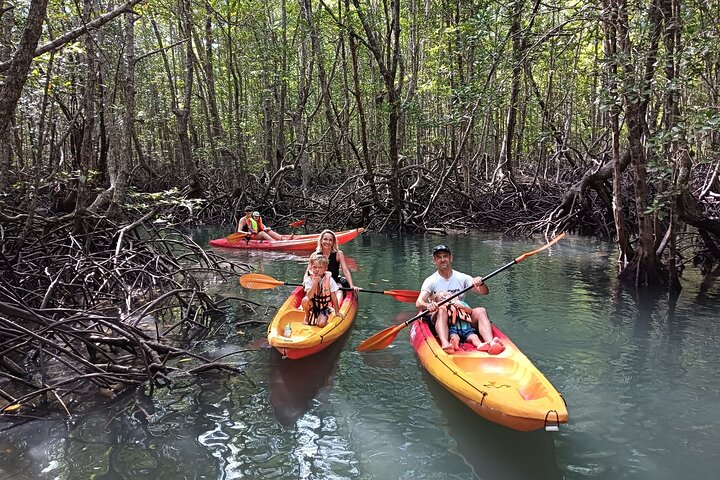 Koh Yao Yai Mangrove Forest Kayaking and Local Village with Lunch