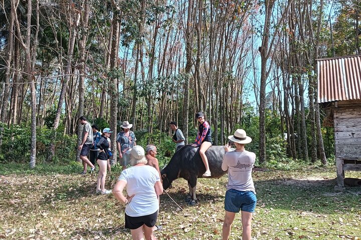 Koh Yao Yai Mangrove Forest Kayaking and Local Village with Lunch
