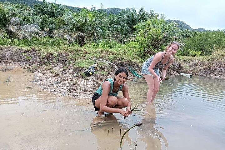 Koh Yao Yai Mangrove Forest Kayaking and Local Village with Lunch