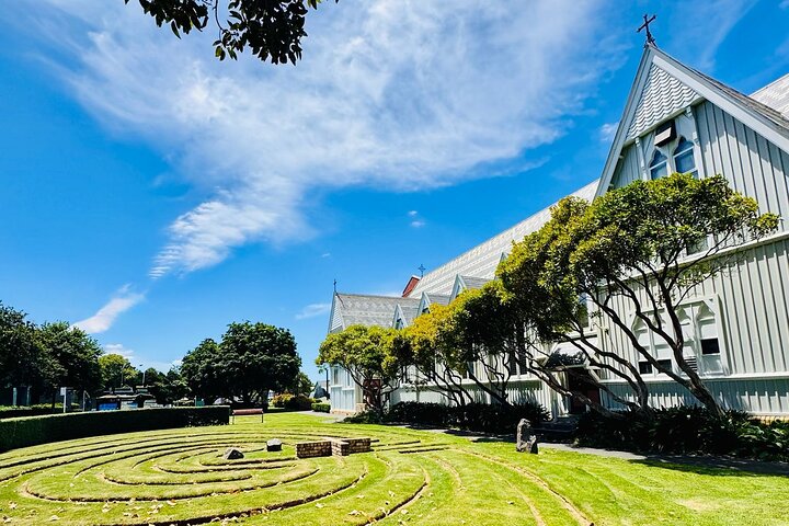 2025 Award Winning: Auckland City Highlights Half Day Tour