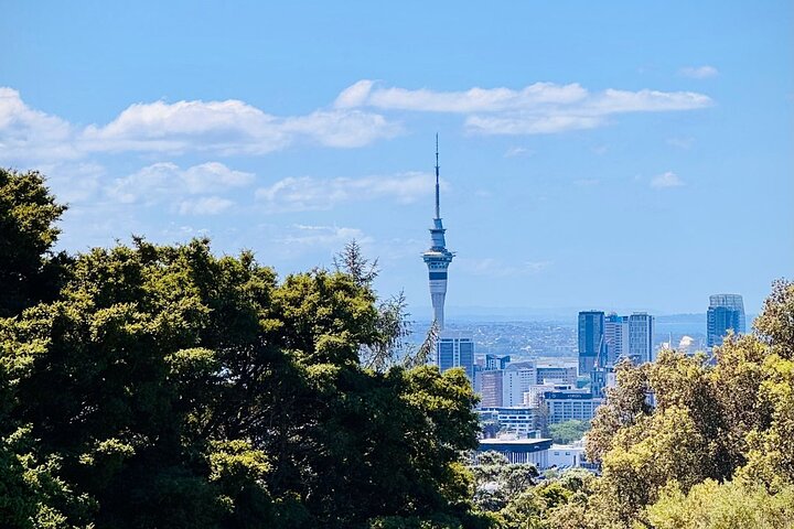 2025 Award Winning: Auckland City Highlights Half Day Tour