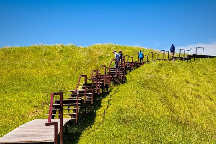 2025 Award Winning: Auckland City Highlights Half Day Tour