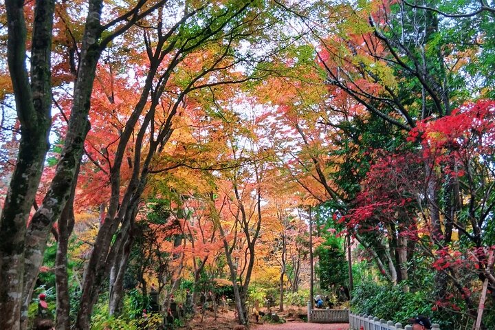 Tokyo: Mt. Takao Tour with Ramen and Tattoo-Okay Hot Spring