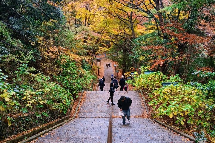 Tokyo: Mt. Takao Tour with Ramen and Tattoo-Okay Hot Spring