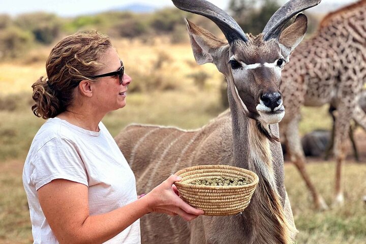 Arusha Serval Wildlife Sanctuary Tour with Pickup