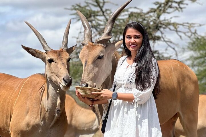 Arusha Serval Wildlife Sanctuary Tour with Pickup