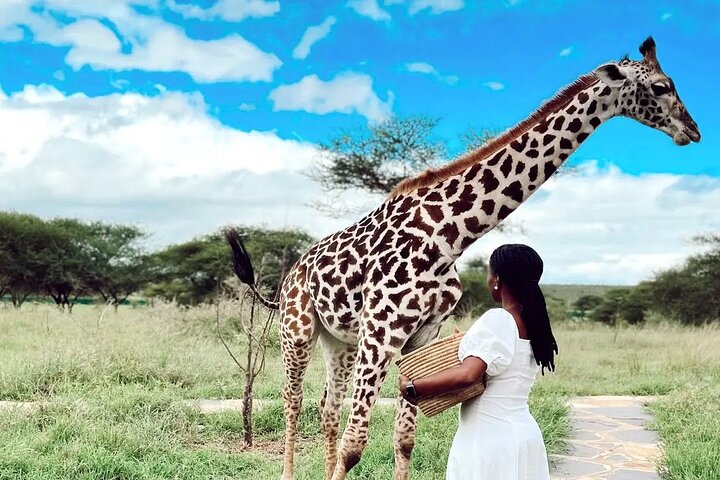 Arusha Serval Wildlife Sanctuary Tour with Pickup