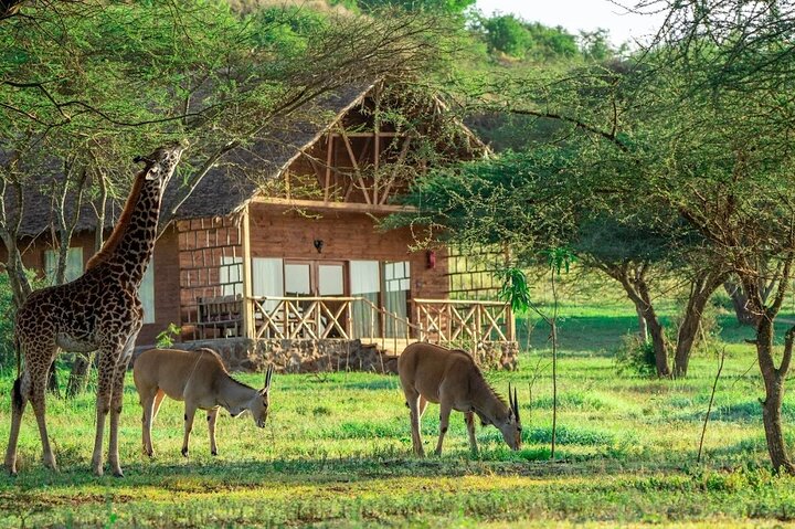 Arusha Serval Wildlife Sanctuary Tour with Pickup