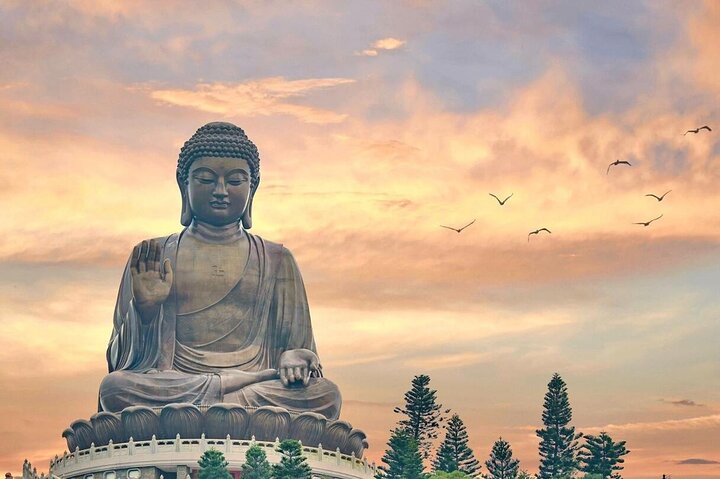 Lantau Island Bus Tour: Big Buddha, Ngong Ping & Tai O Dolphins