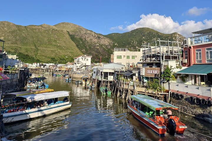 Lantau Island Bus Tour: Big Buddha, Ngong Ping & Tai O Dolphins