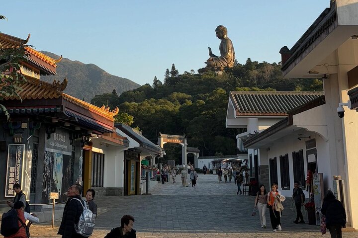 Lantau Island Bus Tour: Big Buddha, Ngong Ping & Tai O Dolphins
