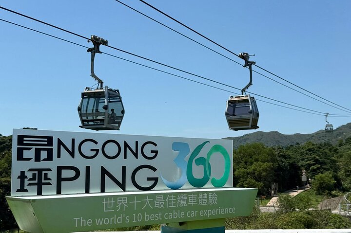 Lantau Island Bus Tour: Big Buddha, Ngong Ping & Tai O Dolphins