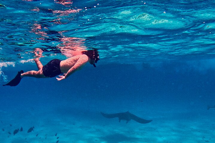 Private boat charter in Grand Cayman